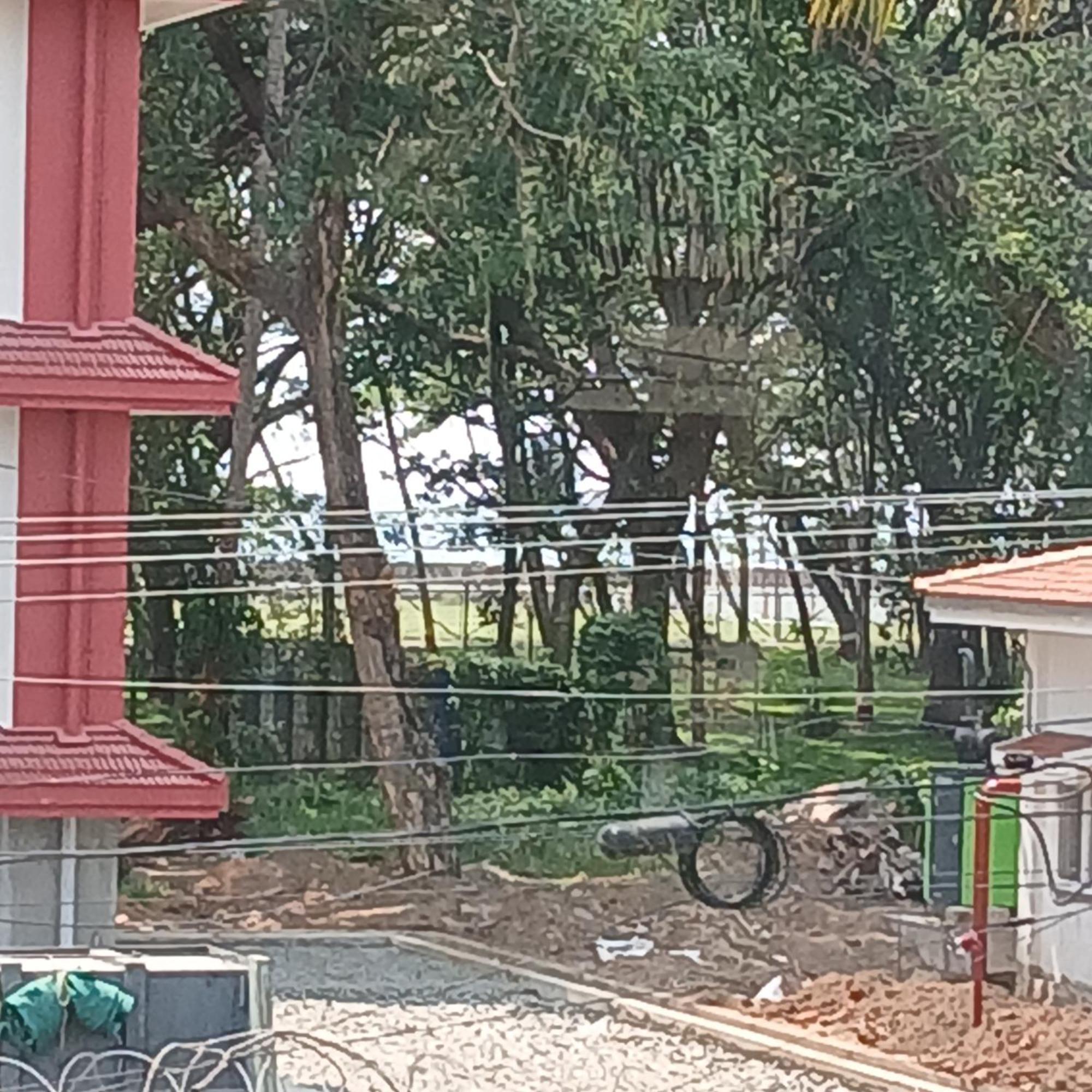Annies Inn Homestay Kochi Esterno foto